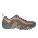 MOTH BROWN