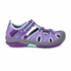 Purple/Blue
