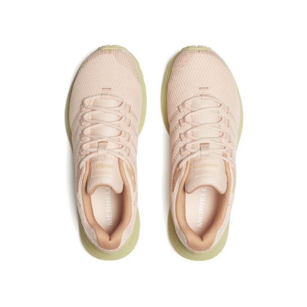 Fly Strike
