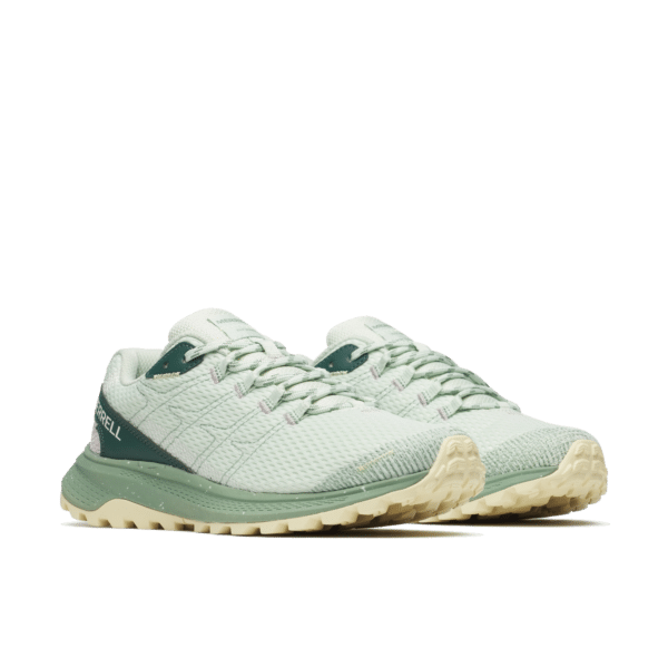 Fly Strike