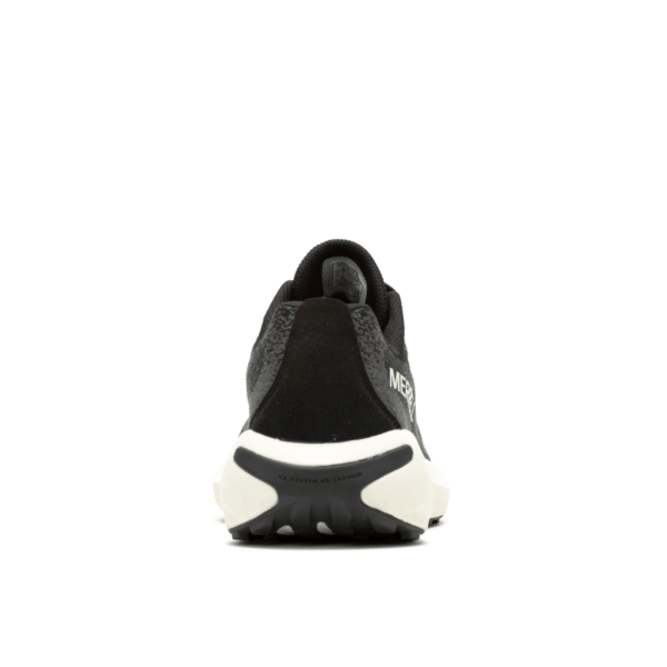 Morphlite