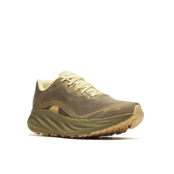 PROMORPH