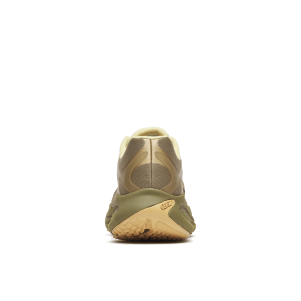 PROMORPH