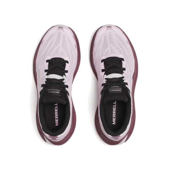 PROMORPH