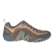 MOTH BROWN