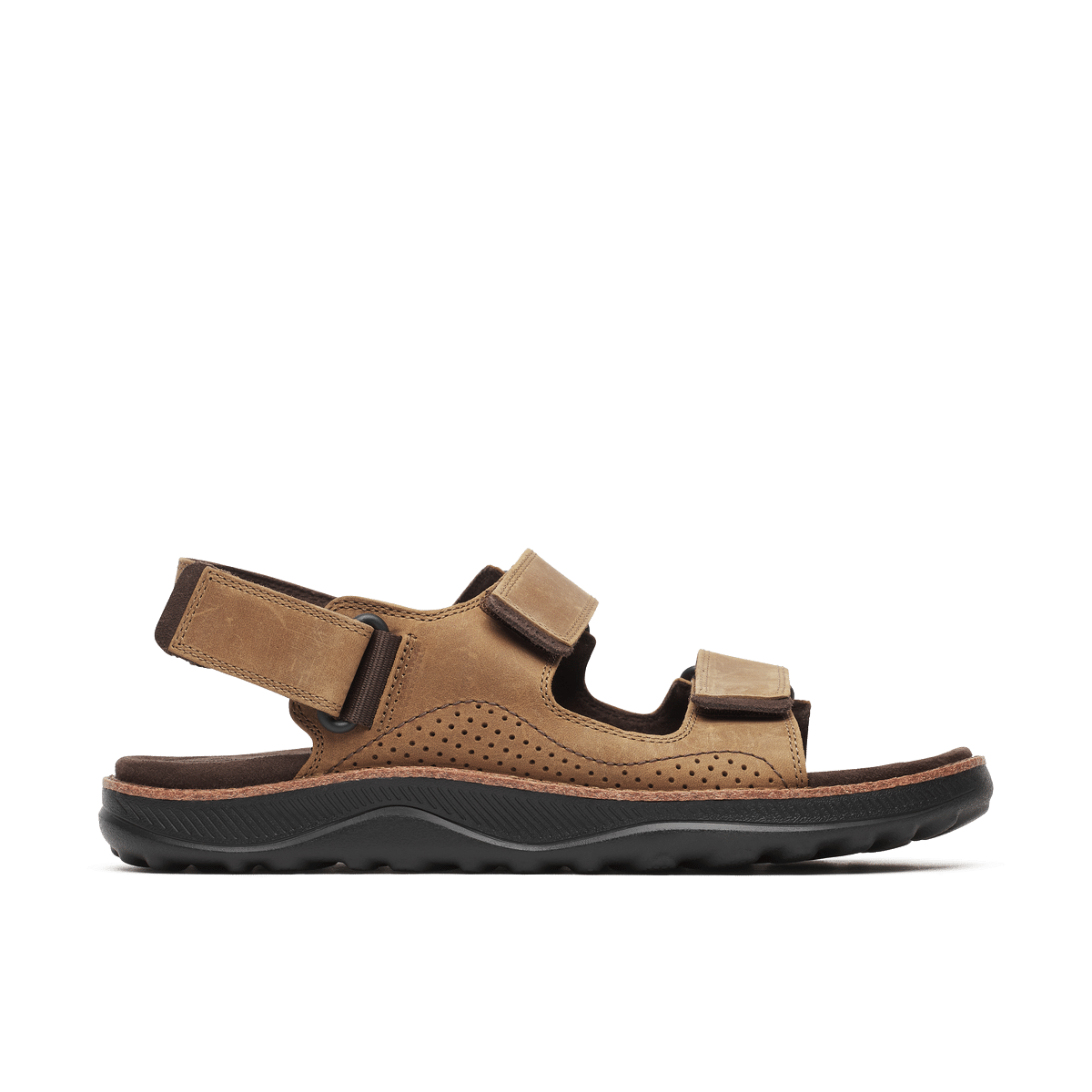 COVE LTR BACKSTRAP