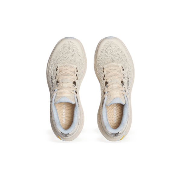 PROMORPH