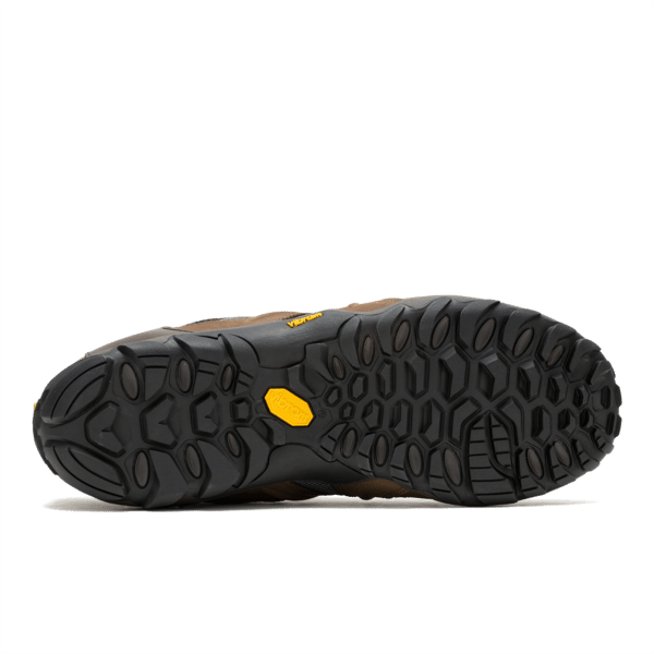 Chameleon 8 Stretch