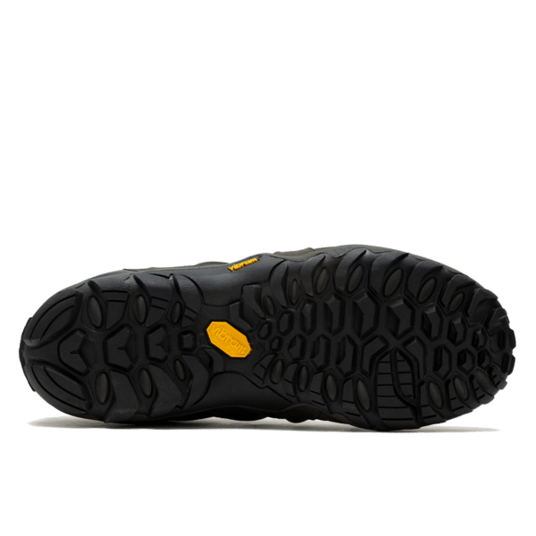 Chameleon 8 Stretch