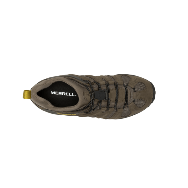 Chameleon 8 Stretch