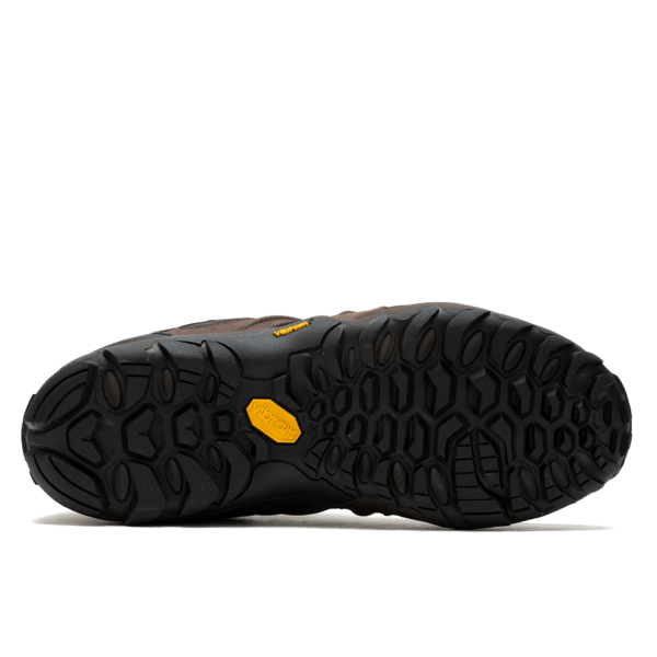 Chameloen 8 Stretch